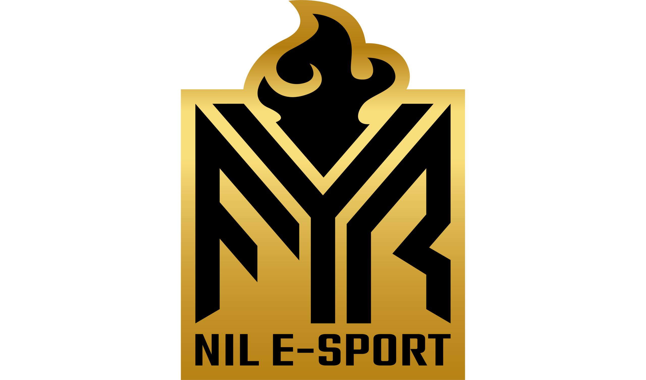 Logo FYR NIL E-sport